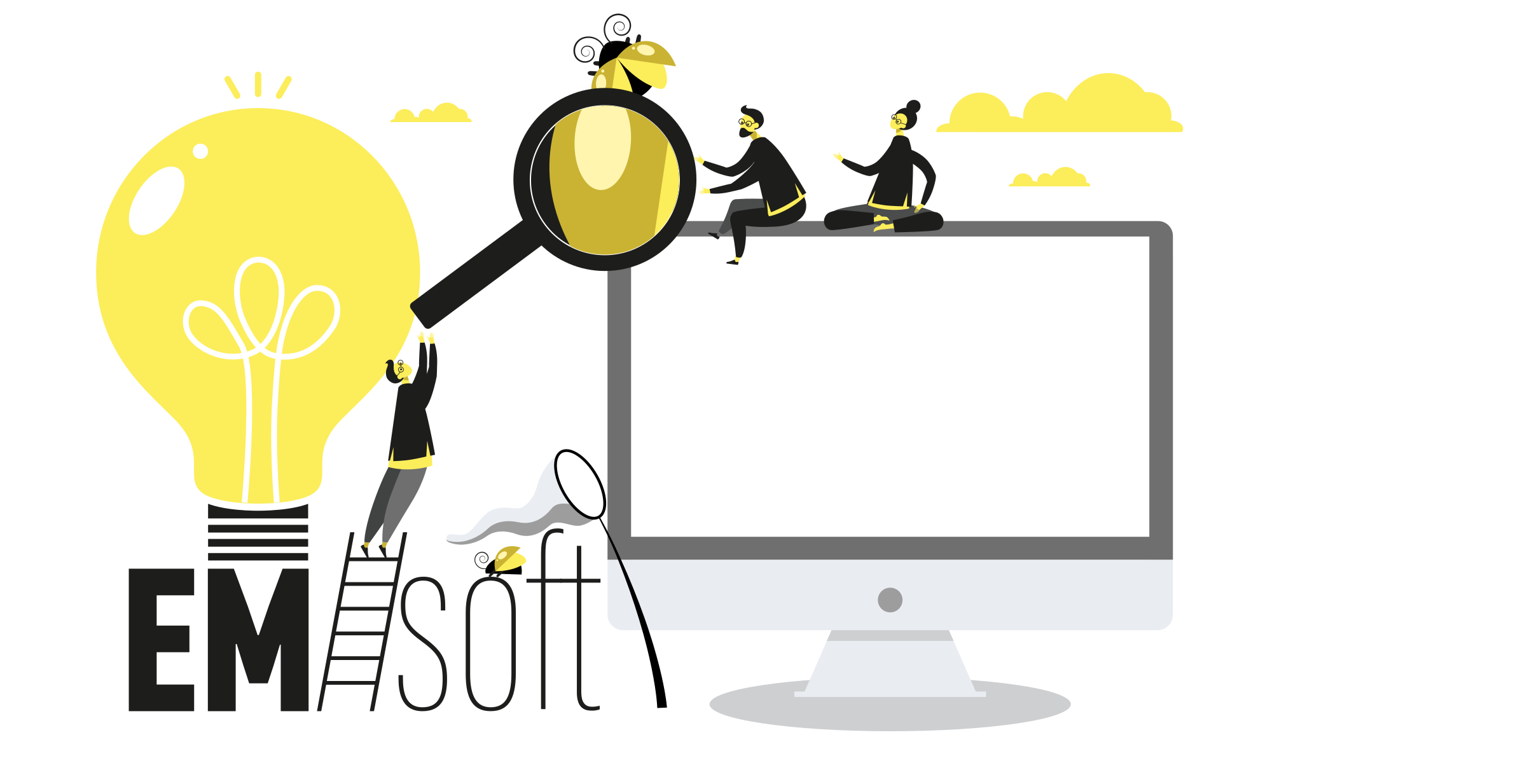 Minneapolis Web Development Company — EMSoft